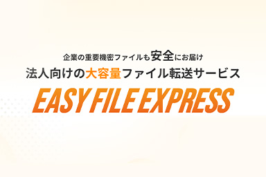 EASY FILE EXPRESS